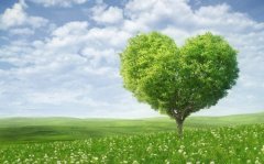 Security \ Environmental \ Health (HSE policy)