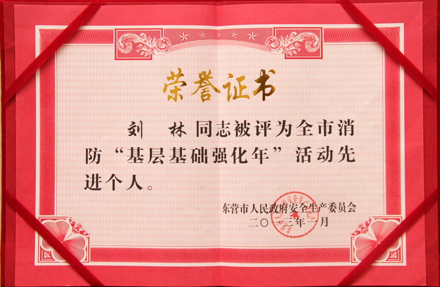 刘林基层基础强化年活动先进个人奖