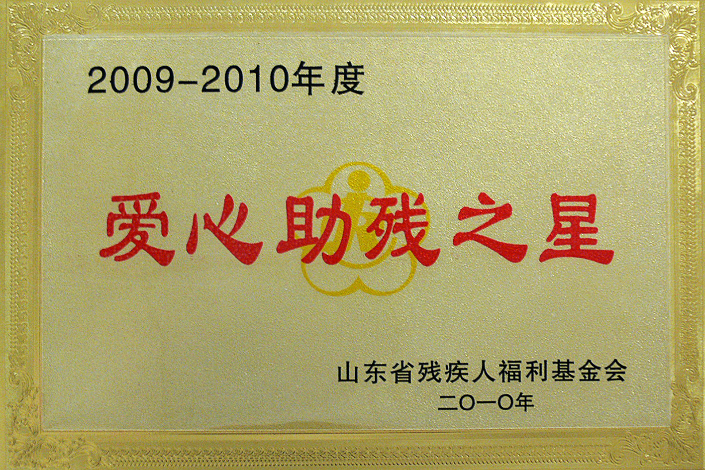 2010山东省爱心助残之星