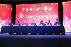万通海欣控股集团召开2016年度表彰大会暨迎春联欢会