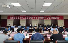 国家应急管理部督导核查组到海欣港务集团检查指导安全风险评估工作
