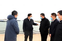 东营市委书记杨国强一行莅临海欣港务集团考察调研