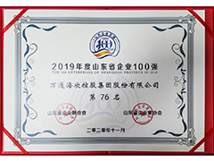 山东省企业100强
