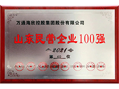 山东民营企业100强-2021