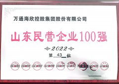 山东民营企业100强