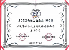 2022山东工业企业100强