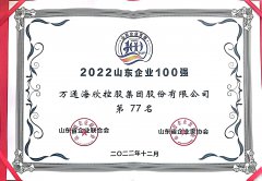 2022山东企业100强第77名
