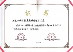 2022石油和化工企业销售收入（综合类）第62名