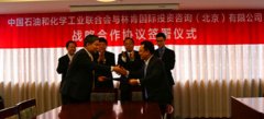走出去联盟初战告捷--石化联合会与林肯国际签署战略合作协议