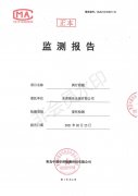 2021年2月份-有组织废气监测报告